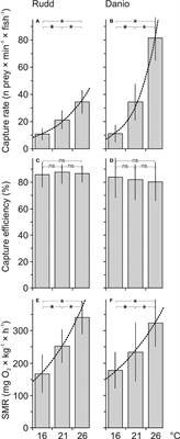 Mechanisms of increasing predation by planktivorous fish with rising temperature may explain the temperature–body size relationships in zooplankton